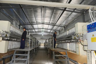 企业展示